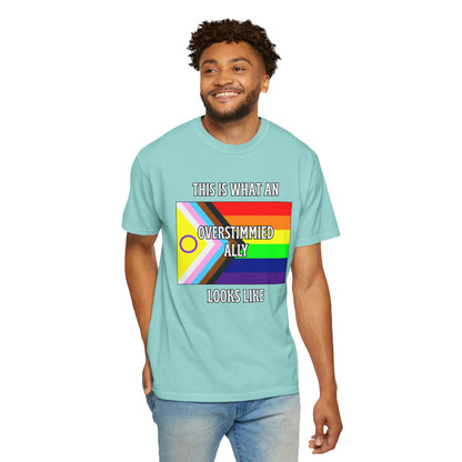 This Is What An Overstimmied Ally Looks Like T-Shirt