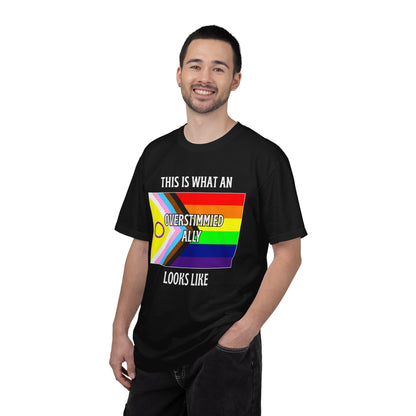 This Is What An Overstimmied Ally Looks Like T-Shirt