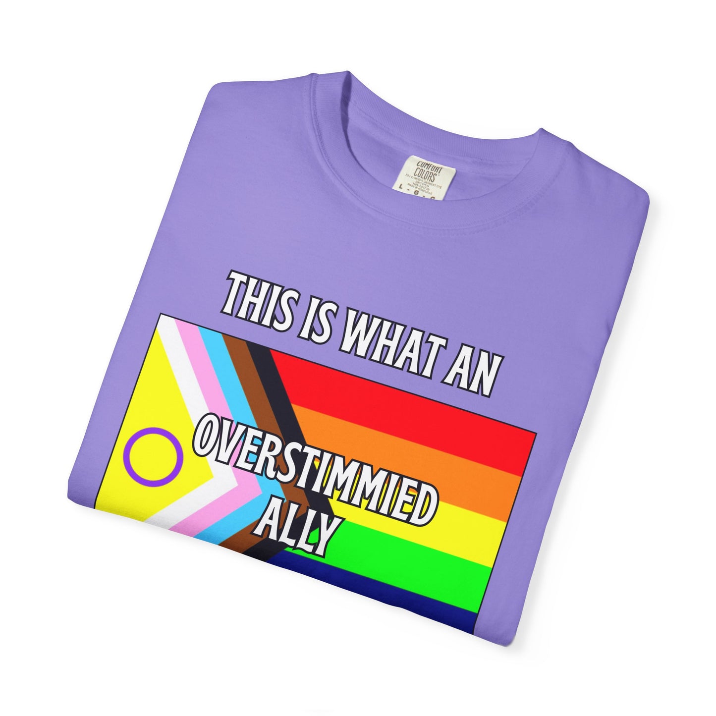 This Is What An Overstimmied Ally Looks Like T-Shirt