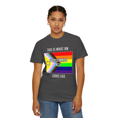 This Is What An Overstimmied Ally Looks Like T-Shirt