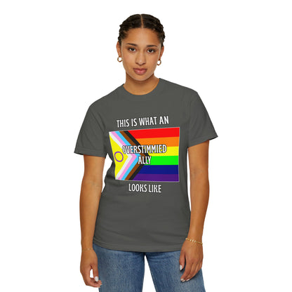 This Is What An Overstimmied Ally Looks Like T-Shirt