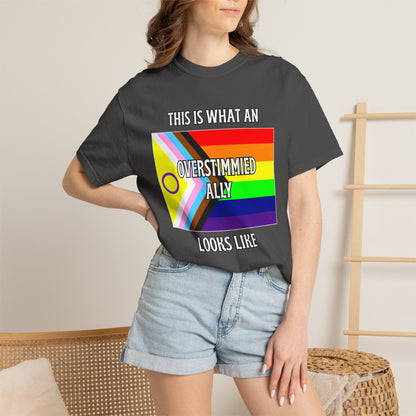 This Is What An Overstimmied Ally Looks Like T-Shirt