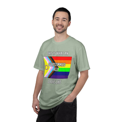 This Is What An Overstimmied Ally Looks Like T-Shirt