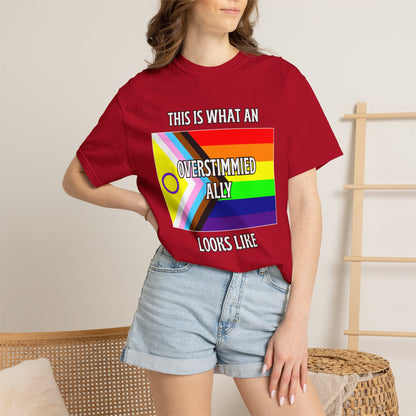 This Is What An Overstimmied Ally Looks Like T-Shirt