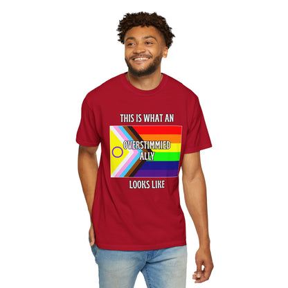 This Is What An Overstimmied Ally Looks Like T-Shirt