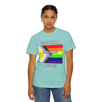 This Is What An Overstimmied Ally Looks Like T-Shirt