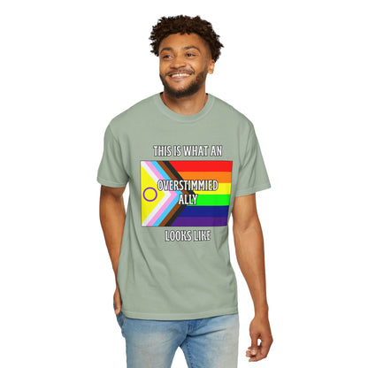 This Is What An Overstimmied Ally Looks Like T-Shirt