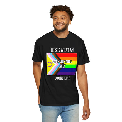 This Is What An Overstimmied Ally Looks Like T-Shirt