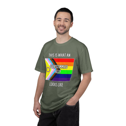 This Is What An Overstimmied Ally Looks Like T-Shirt
