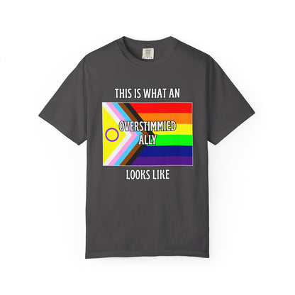 This Is What An Overstimmied Ally Looks Like T-Shirt