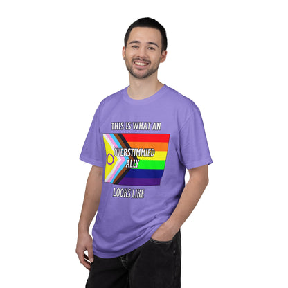 This Is What An Overstimmied Ally Looks Like T-Shirt