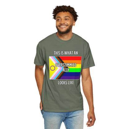 This Is What An Overstimmied Ally Looks Like T-Shirt
