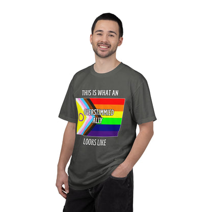 This Is What An Overstimmied Ally Looks Like T-Shirt