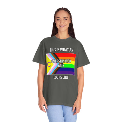 This Is What An Overstimmied Ally Looks Like T-Shirt