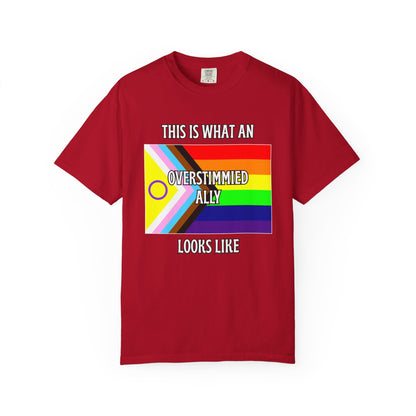This Is What An Overstimmied Ally Looks Like T-Shirt