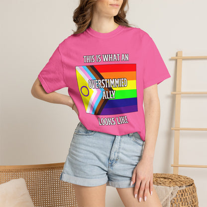 This Is What An Overstimmied Ally Looks Like T-Shirt
