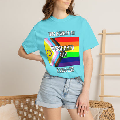 This Is What An Overstimmied Ally Looks Like T-Shirt