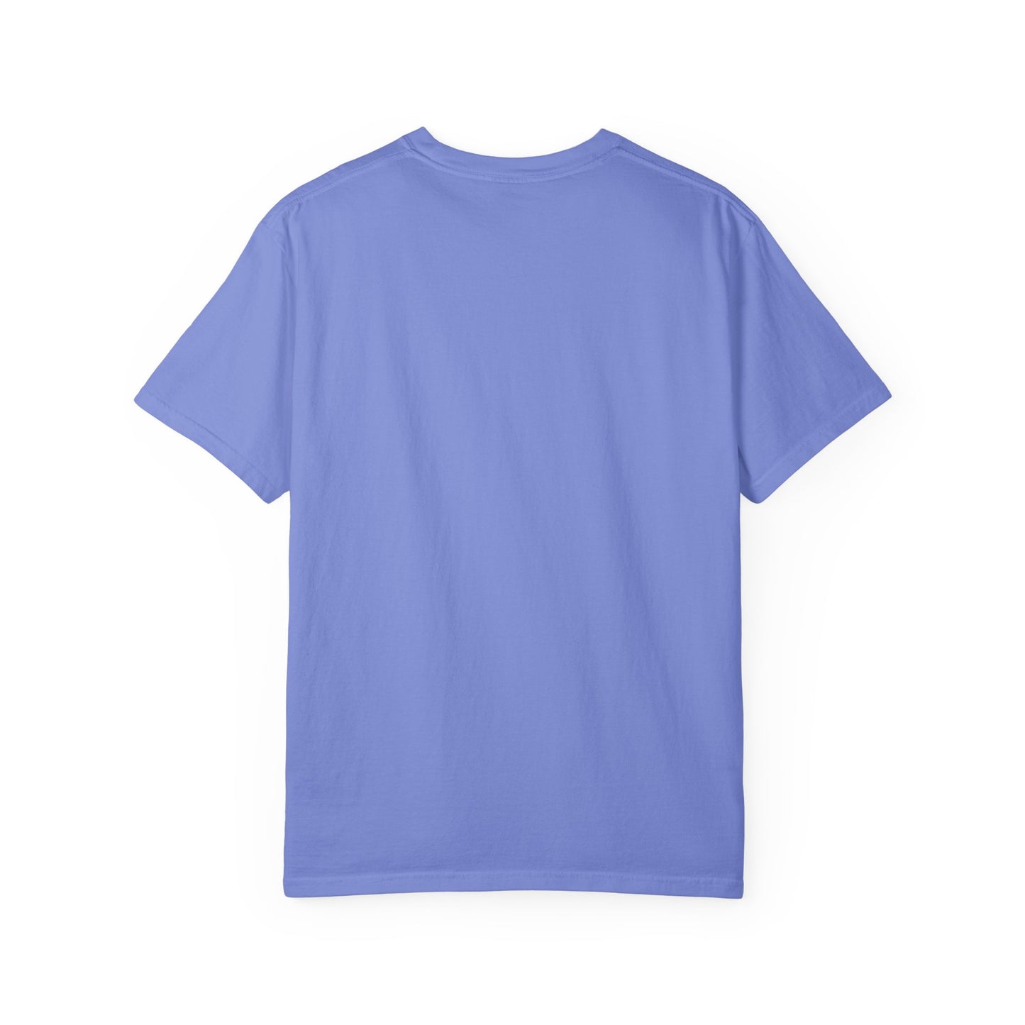 This Is What An Overstimmied Ally Looks Like T-Shirt