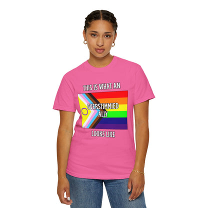 This Is What An Overstimmied Ally Looks Like T-Shirt