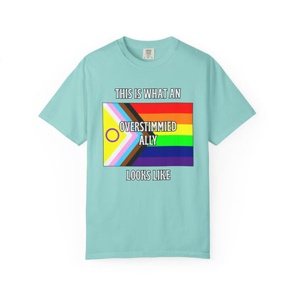 This Is What An Overstimmied Ally Looks Like T-Shirt