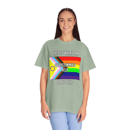 This Is What An Overstimmied Ally Looks Like T-Shirt