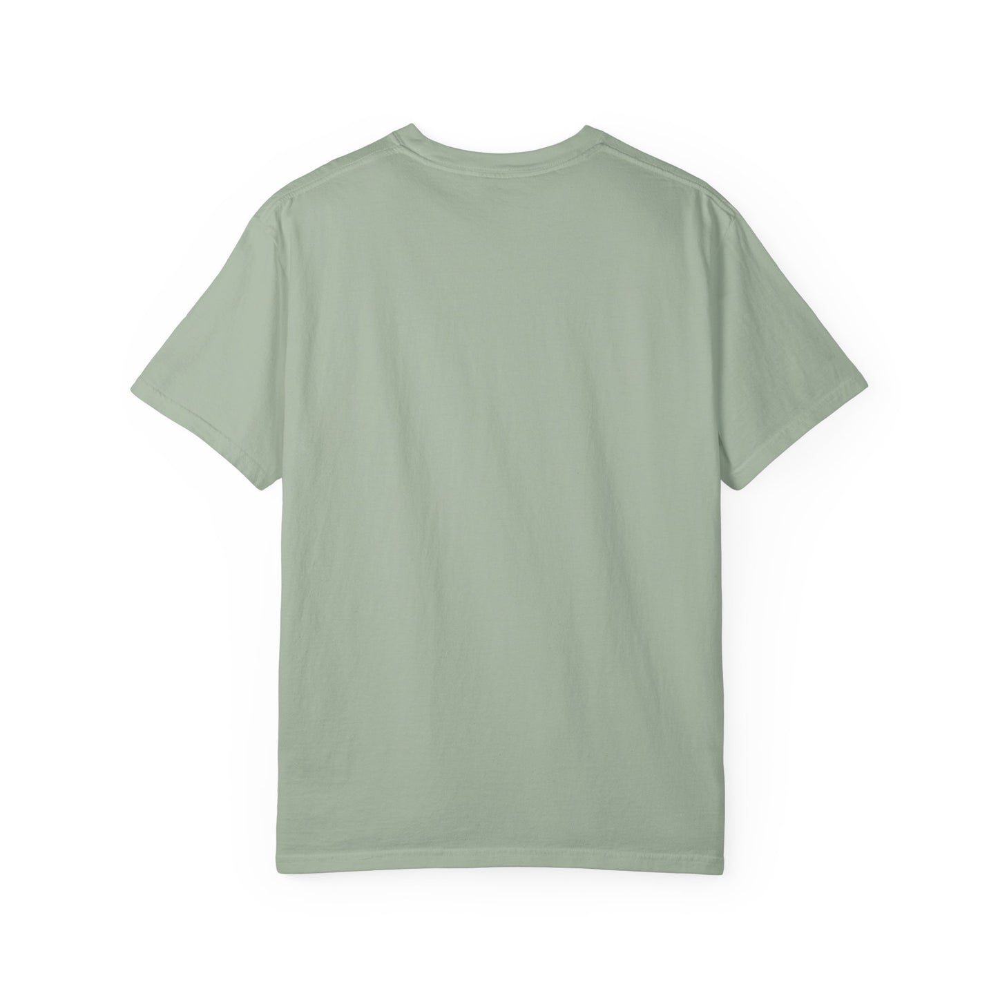 This Is What An Overstimmied Ally Looks Like T-Shirt
