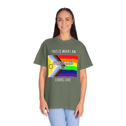 This Is What An Overstimmied Ally Looks Like T-Shirt