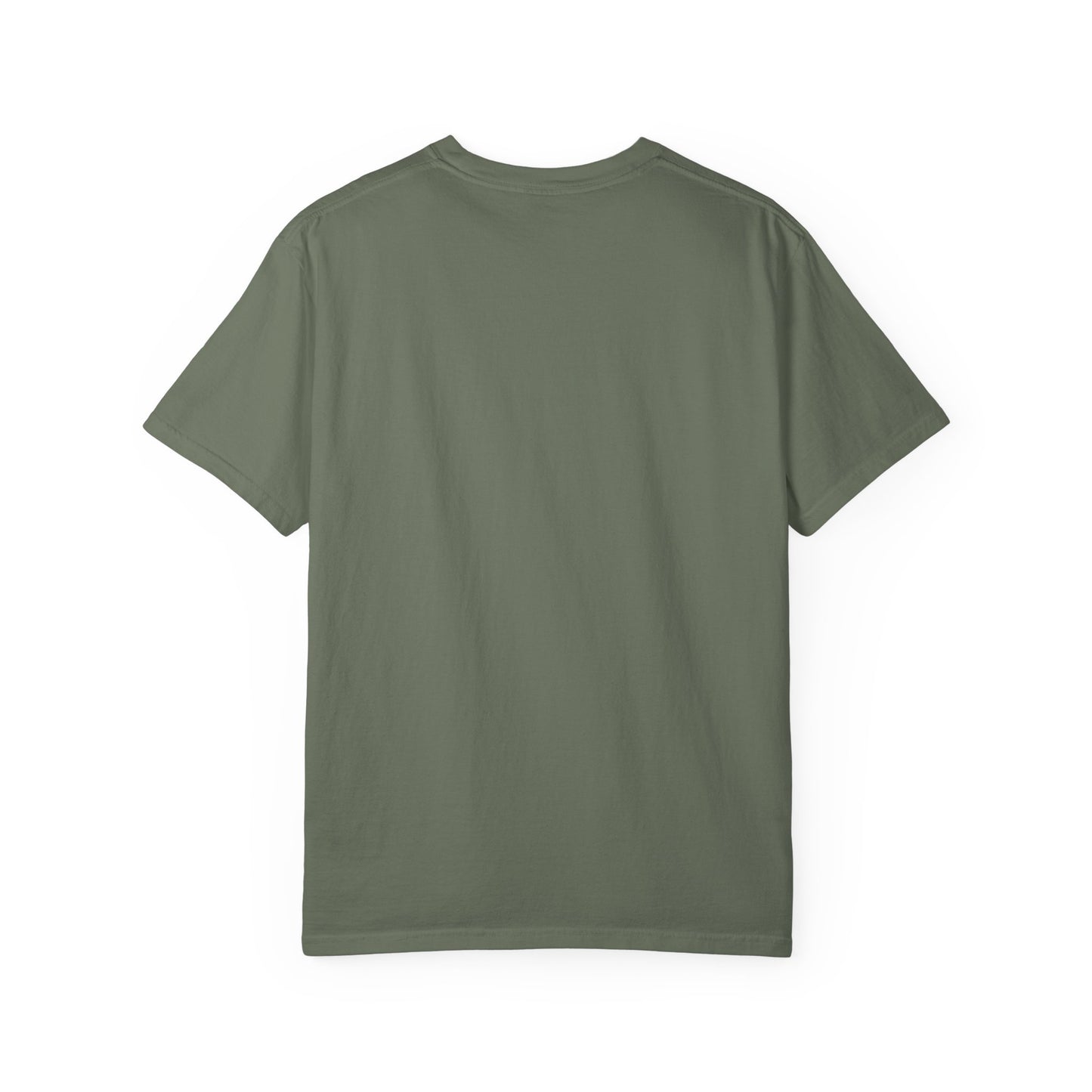 This Is What An Overstimmied Ally Looks Like T-Shirt