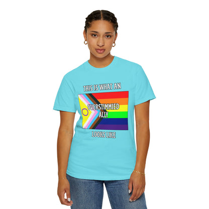 This Is What An Overstimmied Ally Looks Like T-Shirt