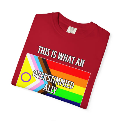 This Is What An Overstimmied Ally Looks Like T-Shirt