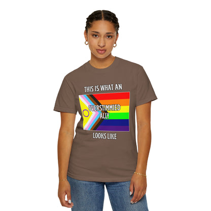 This Is What An Overstimmied Ally Looks Like T-Shirt