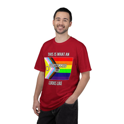This Is What An Overstimmied Ally Looks Like T-Shirt