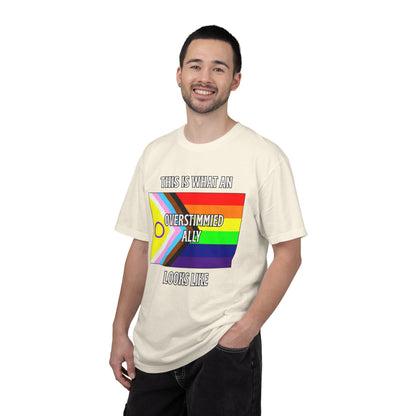 This Is What An Overstimmied Ally Looks Like T-Shirt